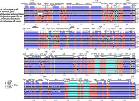 Comparison Of The Chloroplast Genome Sequences Of A Episcopale A