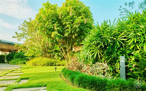 Unique Garden Landscaping Company Kerala Looking For Trees To Provide