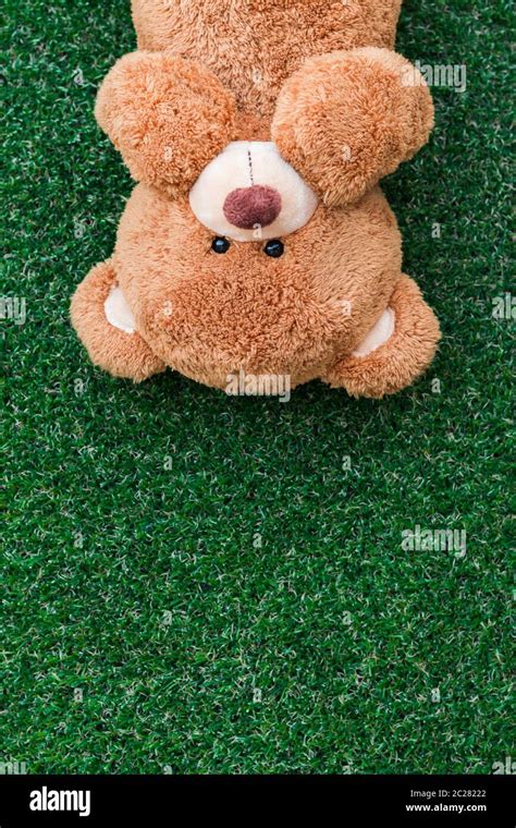 Cute Teddy Bear Stock Photo Alamy