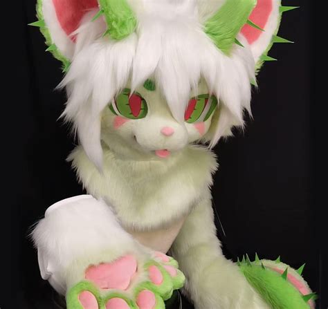 Fursuit Head Headclaw And Tail Furry Cosplayfantasy Creatures