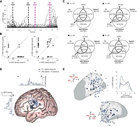 Pre And Post Speech Production Spike Phase Coupling Show Distinct