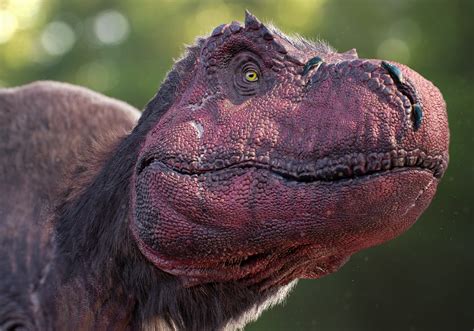 Travel back in time to meet living dinosaurs! | National Geographic Kids