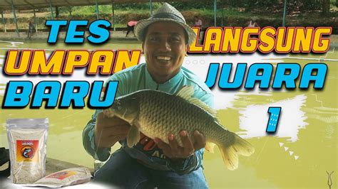 Racikan Umpan Sisik Terbaru Langsung Juara Satu Umpanmancing