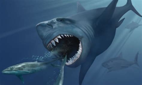 Sightings Of The Megalodon Shark