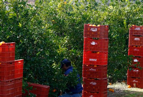 Fuerte caída del paro registrado en abril