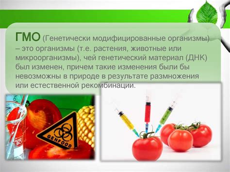 Экологическая безопасность - презентация онлайн