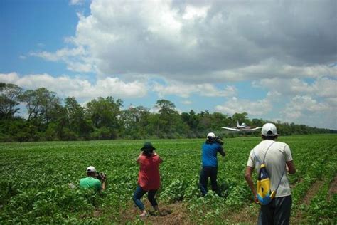 Observatorio Boliviano De Los Recursos Naturales El Valor De Las Exportaciones Agrícolas De