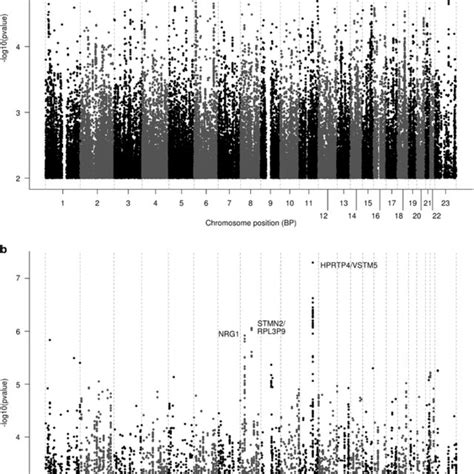 Manhattan Plots Showing Genome Wide Association Results Of The Two Download Scientific Diagram