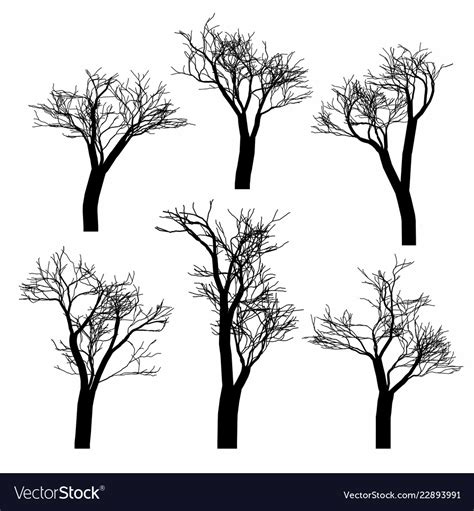 Set Of Black Naked Trees Silhouette Royalty Free Vector