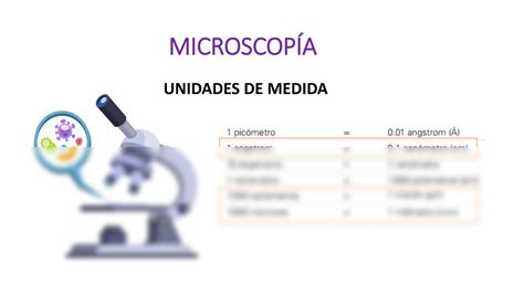 SOLUTION T Cnicas Histol Gicas Y Microscop A Studypool