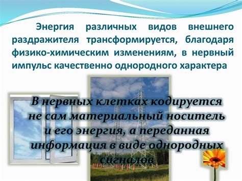 Органы чувств. Чувствительность - online presentation