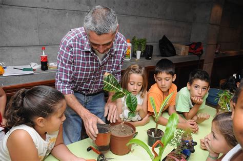 RegiÓn Canarias Periódico Digital De Canarias La Caja De Canarias