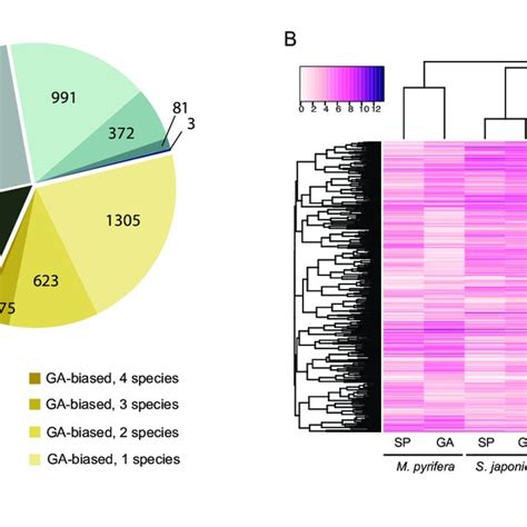 Conservation Of Generation Biased Gene Expression Across Species A