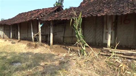 Kehidupan Pekerja Dihutan Kayu Putih Tinggal Dirumah Seadanya