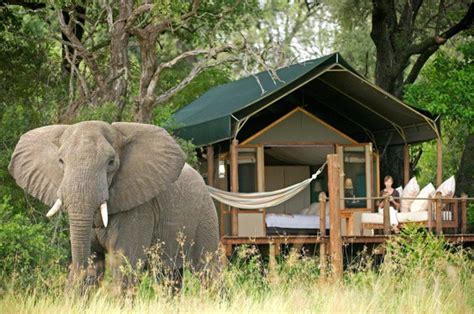 Luxury African Safari Packages