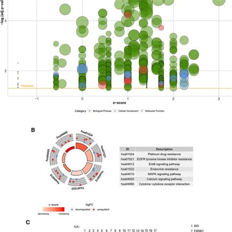 Univariate Cox Regression Analysis Of Differentially Expressed