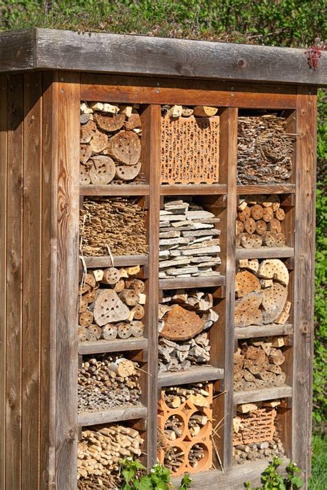 Large Insect Hotel Providing Habitat For Cavity Nesting Bees Wasps And