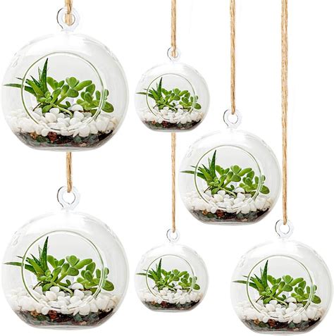 Umeied Hanging Glass Globes Terrarium Container Set Of 6 Air Plant Succulent