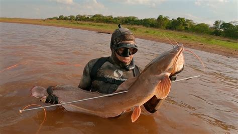 Pesca Sub Bagre Africano Gigante Youtube