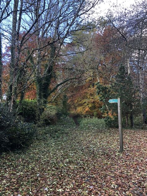 Path Signpost Muirend Richard Webb Geograph Britain And Ireland