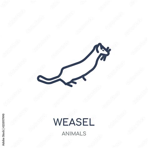 weasel icon. weasel linear symbol design from Animals collection. Stock Vector | Adobe Stock