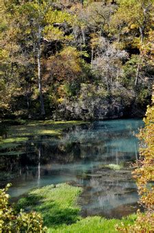 Fotos Gratis Paisaje Rbol Agua Naturaleza Bosque Al Aire Libre