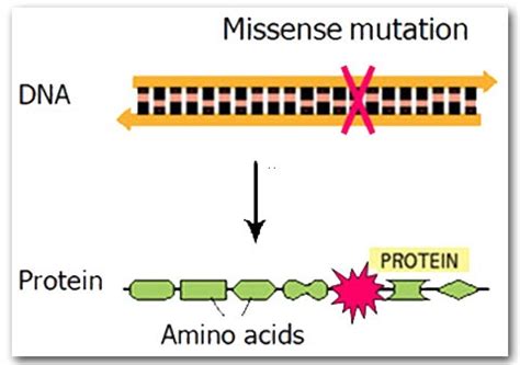 missensemutation   level biologist  hub