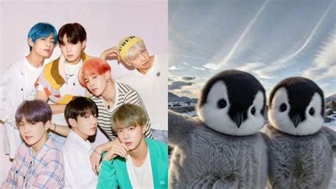 Test de BTS Elige un pingüino adorable y te diremos qué miembro es tu