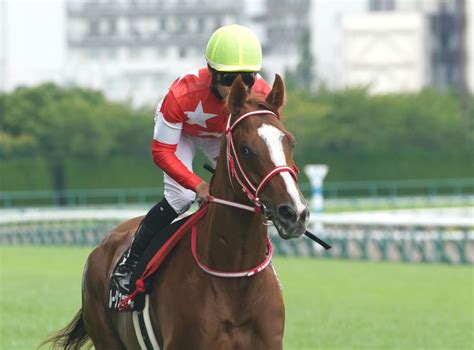 【毎日ベスト3】日刊スポーツdb班が選ぶ特注調教タイムベスト3 毎日ベスト3 競馬コラム写真ニュース 日刊スポーツ