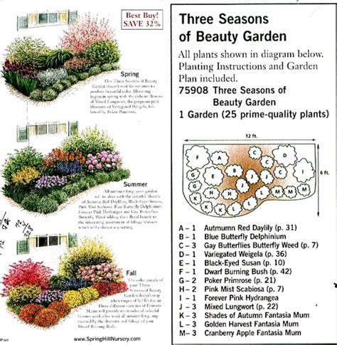 10+ Plan A Perennial Flower Bed – HOMYRACKS