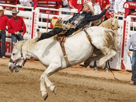 RODEO NOTES: Champions crowned at Calgary Stampede | Calgary Herald