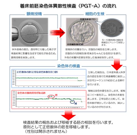 着床前診断について 蔵本ウイメンズクリニック