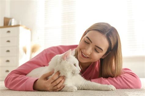 Do Cats Like Baby Talk? What Science Says - Catster