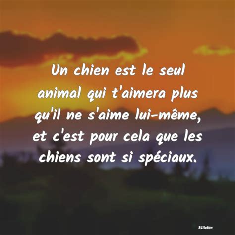 Citations Chien BCitation