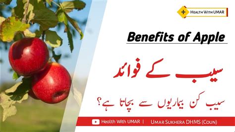 Saib Ke Fayde Saib Khane Ke Fayde Apple Benefits In Urdu Hindi