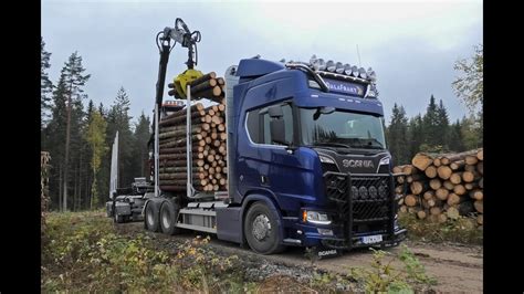 Scania R650 6X4 Timber Truck Loading 4K YouTube