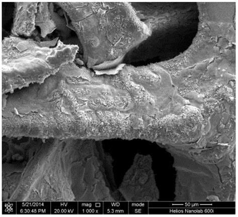 Three Dimensional Macroporous Graphene Carbon Nano Tube And Molybdenum