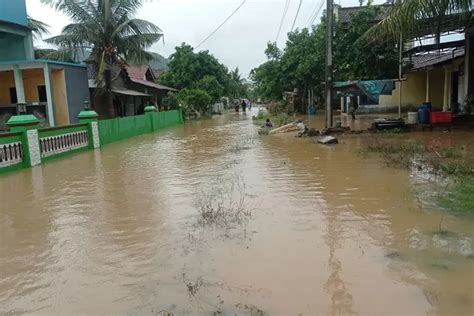 Empat Tanggul Jebol 50 Hektare Sawah Di Clering Jepara Terendam Banjir