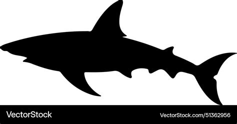 Shark silhouette white background Royalty Free Vector Image