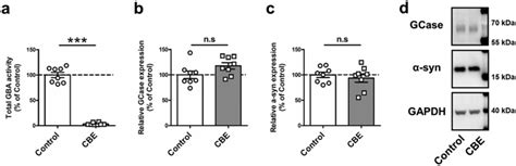 The Decrease In Levels Of Synuclein Is Gcase Activity Independent