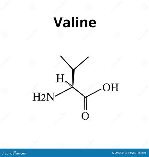 Valine (Val, L) Amino Acid Molecule. (Chemical Formula C5H11NO2 ...