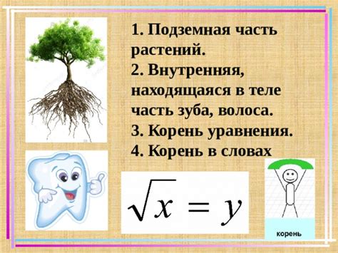 Что такое корень