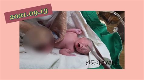 건이강이로그 아들 쌍둥이가 태어났어요👶🏻👶🏻 Youtube