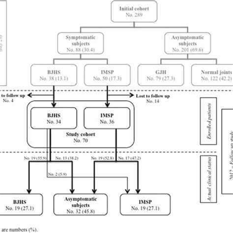 Schematic Summary Of The Study Design With Relative Prevalence Of