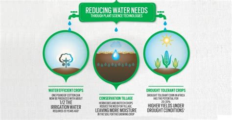 New Biotechnology Increases Crop Yield By Biology