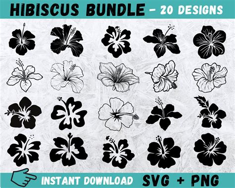 Hibiscus Svg Hawaii Flower Svg Hibiscus Stencil Floral Svg Etsy