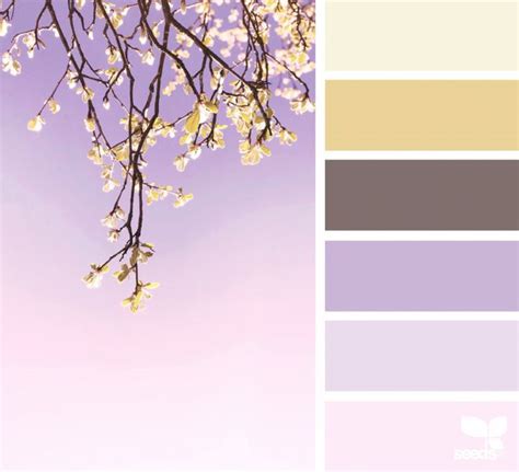 Color Nature (design seeds) | Seeds color, Design seeds, Seeds color palette