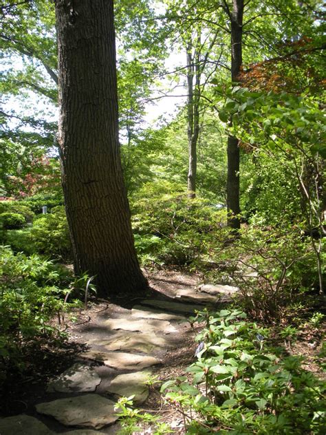 Woodland Gardens - A Gallery of Photos