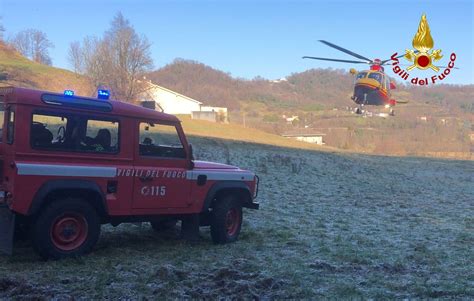 Arzignano Uomo Ferito Gravemente Mentre Lavora Nel Bosco Tviweb