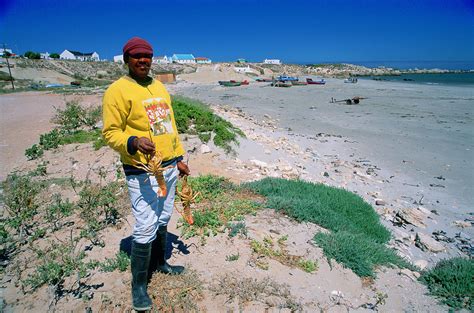 Paternoster Beach | Get the Best Accommodation Deal - Book Self ...